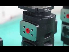 Pampilla de engranajes hidráulicos industriales de flujo de la bomba de doble para excavadora