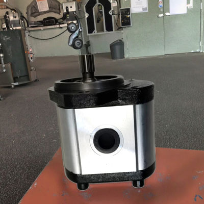 F540-13T-L-101.6 Bomba de Engranajes Hidráulica para Maquinaria Pesada 6 Meses de Garantía