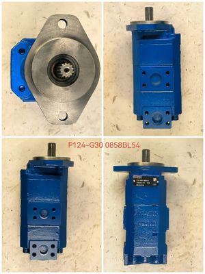 EC460 P124-G30 Bomba de engranaje hidráulico para excavadoras 1 año de garantía