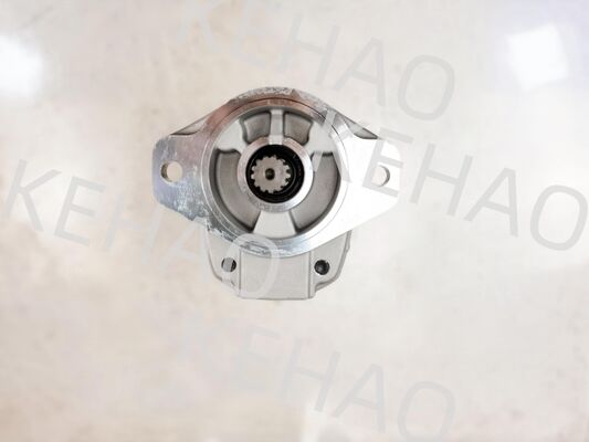 Una garantía de un año bomba de malla externa de media y alta presión D41-6E+40-28CCR 11Kw 1060 Utilizada en equipos de construcción para Komatsu