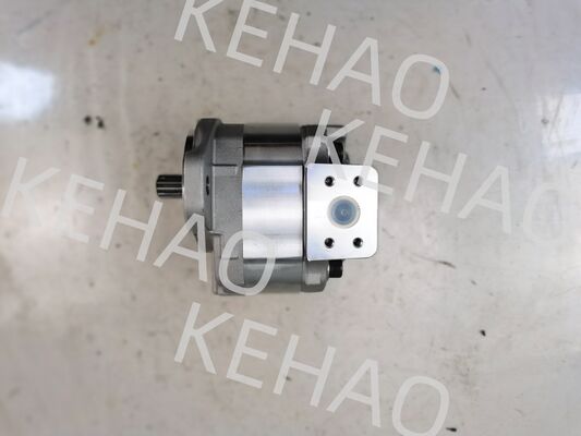 Bomba de engranaje hidráulico de la serie D41 incluyendo D41-45CC(R) D41-6E+40-28CCR D41-400C(R) con caudal de 1060lpm de acero inoxidable AISI y garantía de 1 año