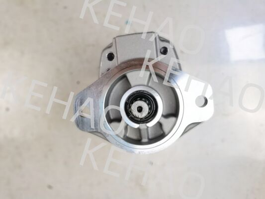 Bomba de engranaje hidráulico de la serie D41 incluyendo D41-45CC(R) D41-6E+40-28CCR D41-400C(R) con caudal de 1060lpm de acero inoxidable AISI y garantía de 1 año