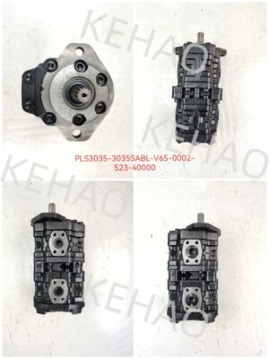 Bomba de engranajes PLS PLS3035-3035SABL-V65-0002-523-40000 Hierro aluminio acero inoxidable Bomba de engranajes hidráulica de media y alta presión para equipos Kawasaki