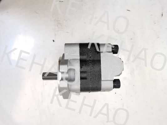 PVSD2-21 Bombas de engranajes hidráulicos Materiales de aleación de hierro y aluminio gama para maquinaria de construcción Fabrica de suministro de piezas hidráulicas personalizar