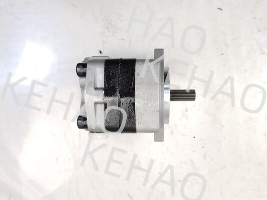 PVSD2-21 Bombas de engranajes hidráulicos Materiales de aleación de hierro y aluminio gama para maquinaria de construcción Fabrica de suministro de piezas hidráulicas personalizar