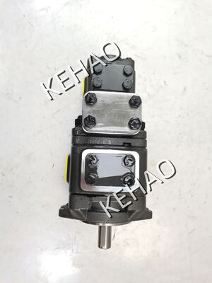 Bomba de engranajes hidráulica serie APG22/APG32 APG32-025-016-01R-VPU2-3 Bomba de aceite de engranajes de grado industrial de alta presión Reemplazo para maquinaria pesada