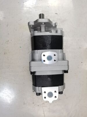 Suministro de fábrica Bomba de engranajes Bomba hidráulica utilizada en maquinaria pesada de volquete y número de pieza de vehículo SAL3-100+80 Aleaciones de hierro y aluminio Bomba de aceite hidráulico