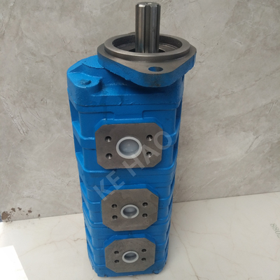 CBGJ triplican la bomba de engranaje original del acuerdo de la tira de la cubierta del rombo de la bomba para dirigir la maquinaria y el vehículo
