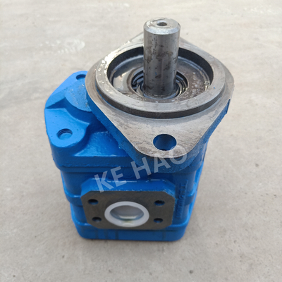 CBGJ escogen la bomba de engranaje original compacta azul dominante plana de la cubierta del rombo de la bomba para dirigir la maquinaria y el vehículo