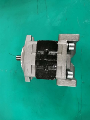Hierro estándar SGP1AF25-ALΦ9 material L bomba de engranaje