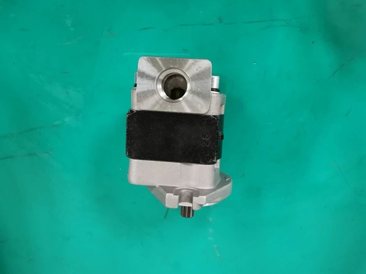Hierro estándar SGP1AF25-ALΦ9 material L bomba de engranaje