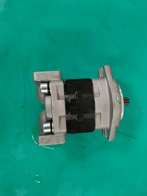 Serie Siver de la bomba de engranaje del OEM SGP1AF25-ALΦ9 R SGP y negro